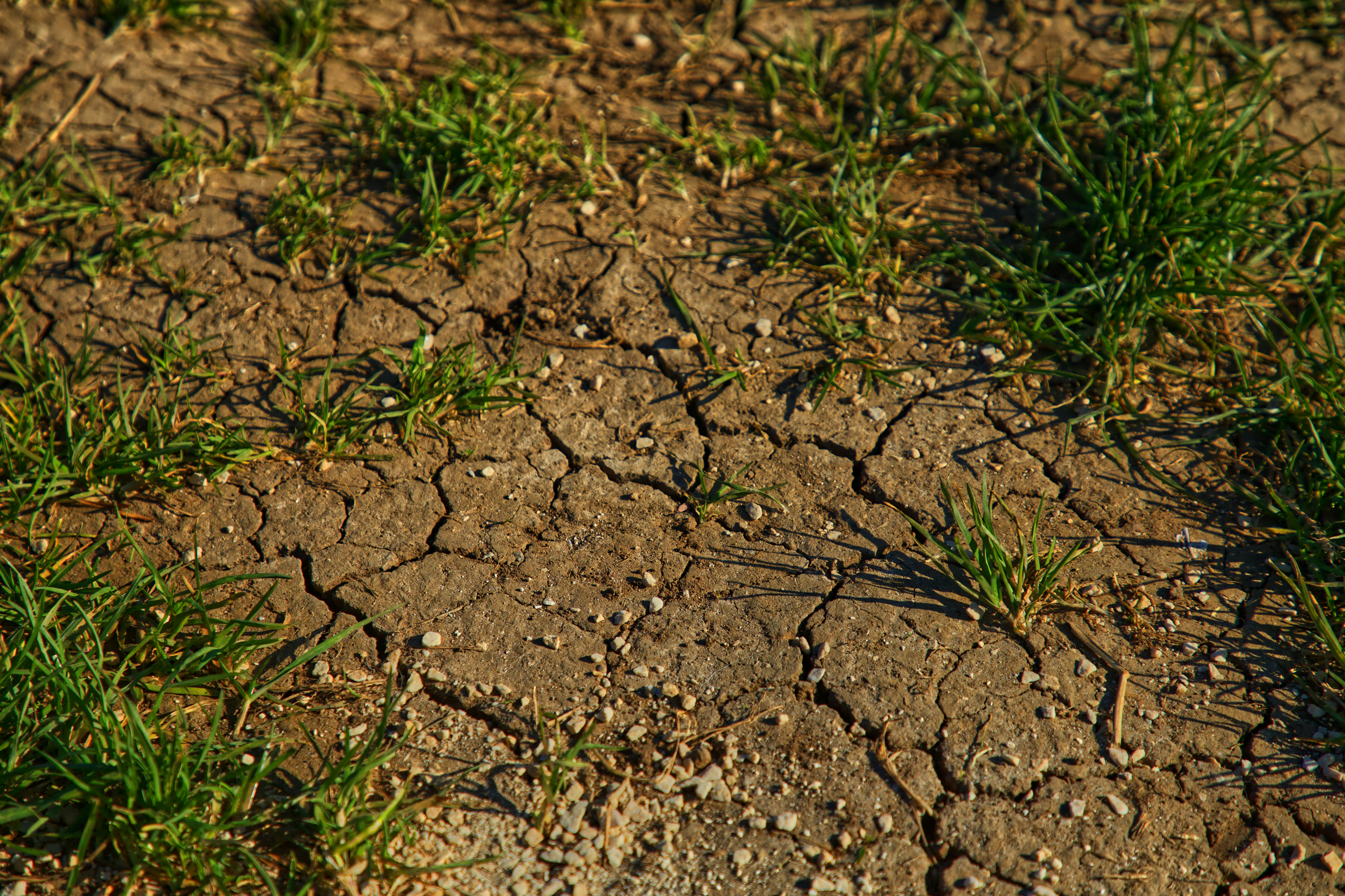Preventing Soil Erosion Effectively
