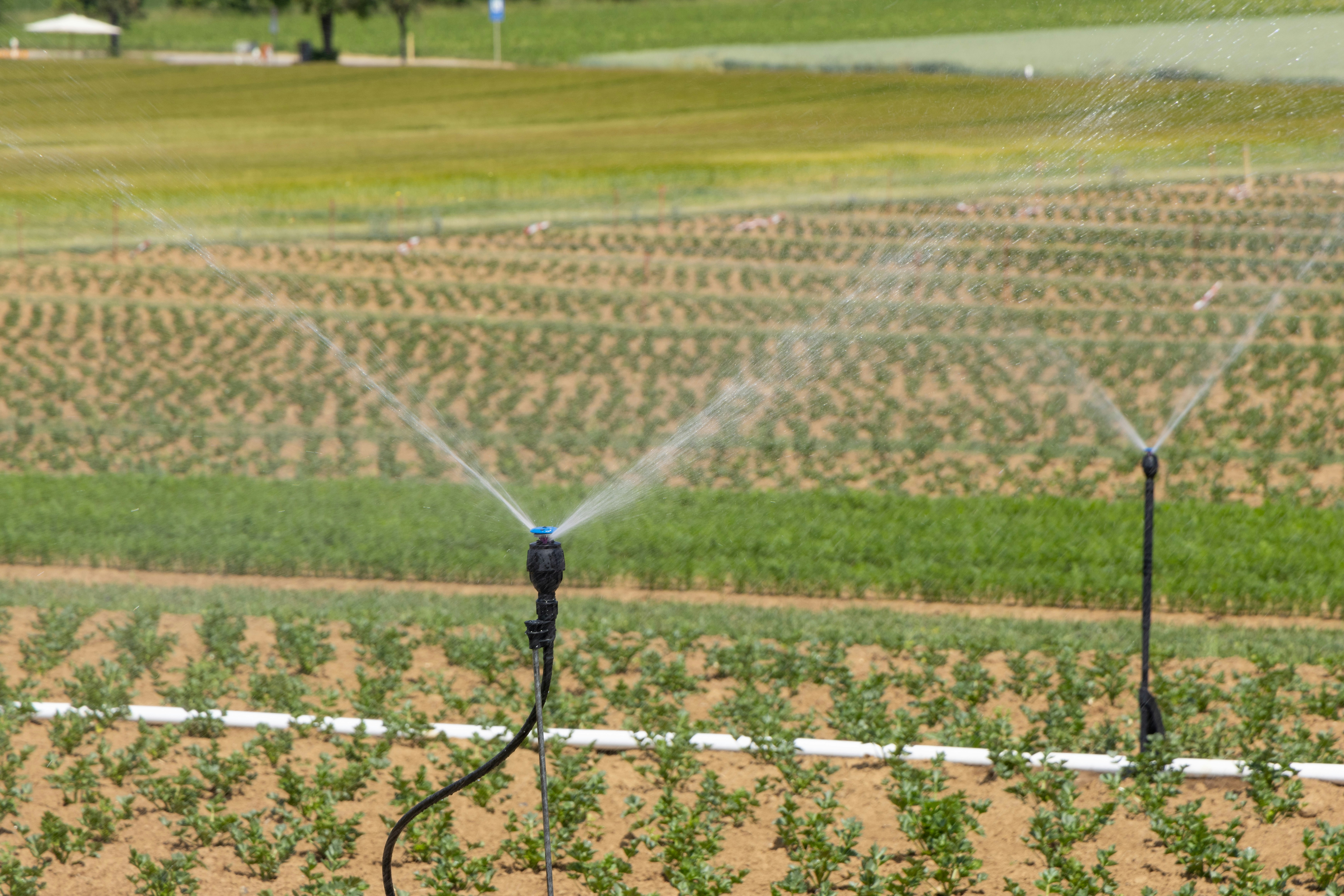 Modern Irrigation Techniques for Farmers