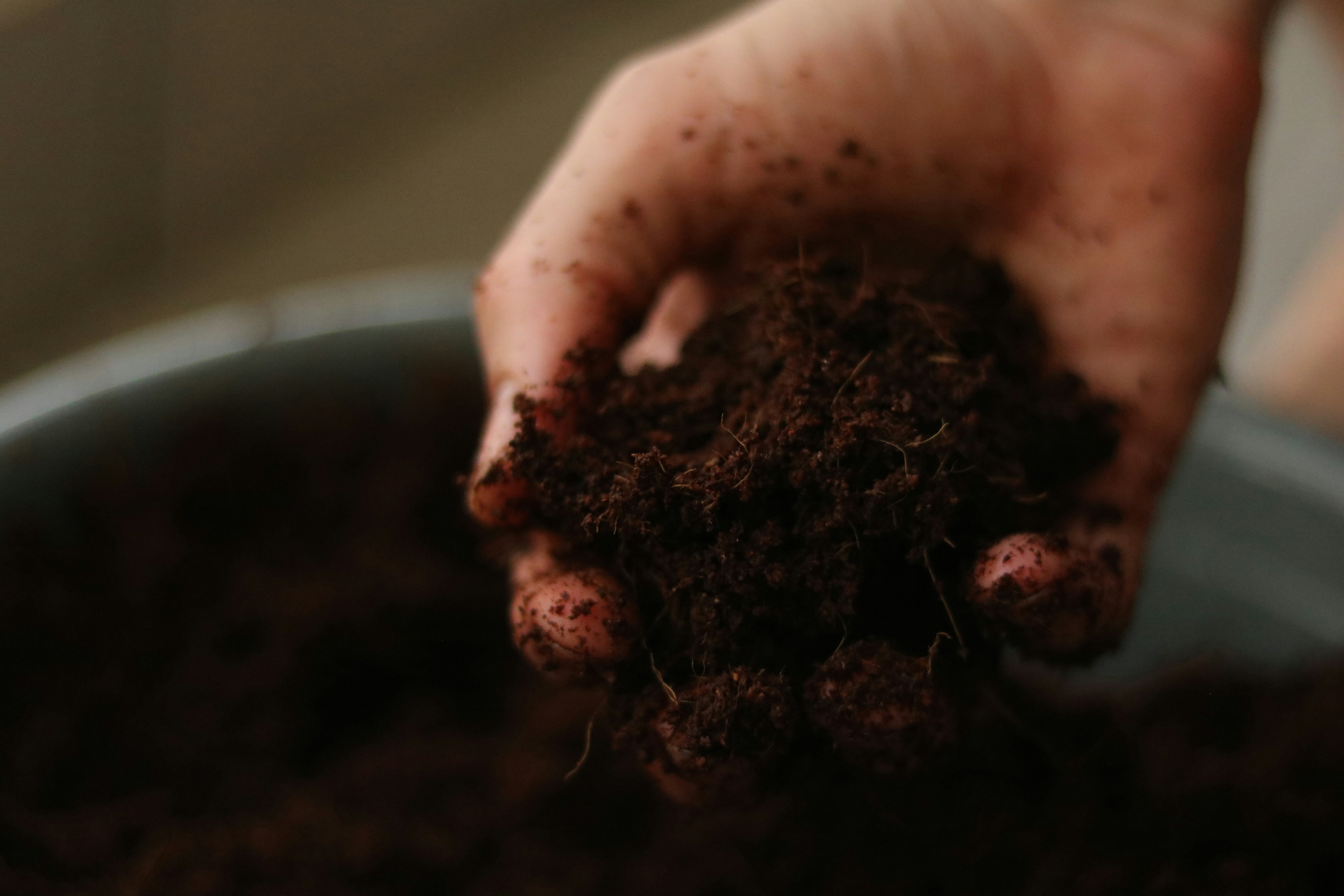 Understanding Different Soil Types